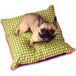 Pooky Pets - Cushions - Polka Dot - Green - Purple